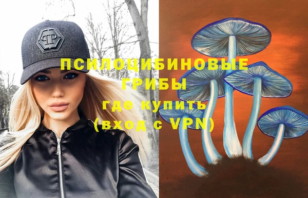2c-b Алзамай