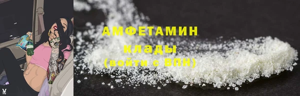 прущий лед Новозыбков