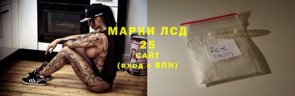 прущий лед Новозыбков