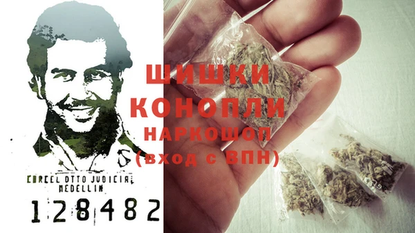 прущий лед Новозыбков