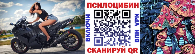 МЕГА как войти  Евпатория  Галлюциногенные грибы MAGIC MUSHROOMS  магазин продажи наркотиков 